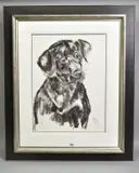 Black labrador by April Shepherd, charcoal on paper, sold Jul 2020