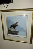 THE EAGLE EYE' a limited edition print 283/350, a portrait study of an Eagle by Spencer Hodge, print, offered Jul 2020