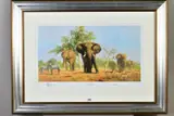 An african landscape by David Shepherd, print, sold Jun 2020