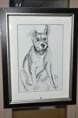 DOG PORTRAIT V' a sketch of a dog sitting down by April Shepherd, charcoal on paper, sold May 2020