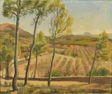 'Olive Groves, Mallorca', a Spanish landscape, oil on canvas, by Michael Gilbery, oil on canvas, sold Apr 2020