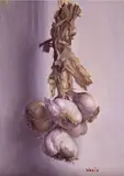 Still life of hanging garlicSignedOil by Robbie Wraith, Oil on board, unframed, sold Jun 2019