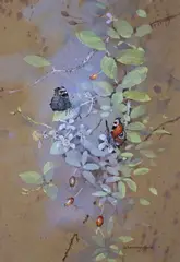 Peacock Butterflies SignedWatercolour with bodycolour34 by Gordon Beningfield, Watercolour with bodycolour, offered Jun 2019