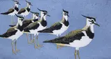 Young LapwingsSigned by Robert Gillmor, linocut, sold Jun 2019