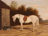 Study of a horse by a stable with goatsSigned and dated 1858Oil on by B. Deyrell, 1858, Oil on canvas, offered Mar 2019