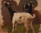 Study of goatsSignedOil by Paul Friedrich Meyerheim, Oil on canvas laid on board, sold Mar 2019