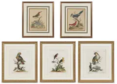 ORNITHOLOGICAL PRINTS, LOT OF FIVE by George Edwards, hand-colored engravings on paper, sold Apr 2023