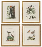 ORNITHOLOGICAL PRINTS, LOT FOUR by Johann Michael Seligmann, hand-colored engravings on paper, sold Apr 2023