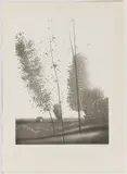 LANDSCAPE LITHOGRAPH by Robert Kipniss, pencil signed and numbered 196/250 in lower margin. Unframed. Circa 1980. 14, sold Apr 2023
