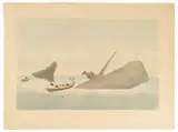 Untitled by Whaling Historical Print, hand-colored aquatint, sold Mar 2023