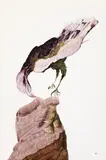 Bird Of Prey by Sidney Nolan, oil on paper, sold Aug 2014
