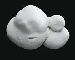 Stem Cell by Patricia Piccinini, 2003, Edition: edition of 10, sold Apr 2014