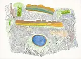 Untitled No. 4 by Wattie Karrawara, c.1965, watercolour on paper, offered Mar 2014