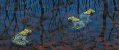 Kiup Bulla Gookoop (Three Frogs) by Lin Onus, gouache on paper, sold Nov 2013