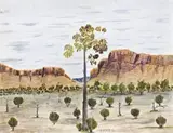 Untitled by Kaapa Tjampitjinpa, 1976, watercolour on canvas-board, sold Nov 2013