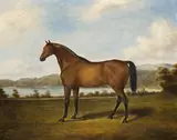 Racehorse, Sydney by Joseph Fowles, c.1860, oil on canvas, offered Nov 2013