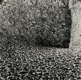 Leura, New South Wales, Easter by Fiona Margaret Hall, 1995, silver gelatin photograph, sold Nov 2013