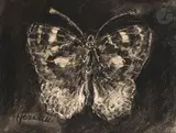 Papillon by Louise Hervieu, Craie Conté, estompe et grattage, sold Nov 2024