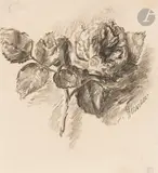 Branche de rose by Louise Hervieu, Craie Conté, sold Nov 2024
