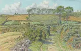 Morgat, chemin de terre entre champs et pins, septembre 1913 by Henri Rivière, Aquarelle, sold Jun 2018