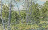 Morgat, le clocher de Crozon à travers les pins, juillet 1916 by Henri Rivière, Aquarelle, sold Jun 2018