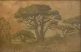 Les pins à Saint-Tropez by Jose Mingret, Gouache et aquarelle, sold May 2024