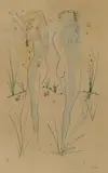 Vénus by Salvador Dalí, Gravure réhaussée au pochoir signée et numérotée au crayon, sold Mar 2021