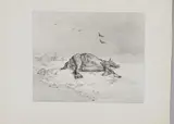 Le Cheval mort. 1823 by Théodore Géricault, Lithographie sur vélin, très belle et rare épreuve avant toute inscription, sold Feb 2023