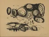 Coquillages et oiseaux. 1946 by Pablo Picasso, Lithographie en noir sur vélin, sold Feb 2023