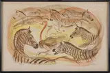 Zèbres et autruche by Maurice Fiévet, Lithographie signée, dédicacée et numérotée, sold Apr 2023