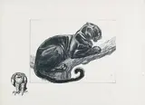 Panthère noire sur une branchée by Paul Jouve, Lithographie signée dans la planche en bas vers la gauche, sold Mar 2014