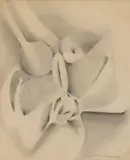 Sans titre by Agustín Fernández, 1959, Crayon sur papier, sold Dec 2024