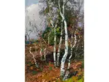 Birken in der Heide by Alexander Koester, 1864 Bergneustadt – 1932 München, oil on canvas, offered Jul 2017