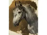 Portrait Eines Schimmels by Alexander Zick, oil on canvas, offered Dec 2023