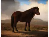 Shetlandpony by Eugène Verboeckhoven, oil on canvas, sold Jul 2015