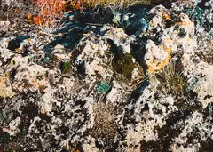 Big Hill Springs by Dulcie Foo Fat, 1983, oil on canvas, sold Aug 2022