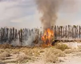 Desert Fire # 1 by Richard Misrach, 1983, Farbphotographie, 1986, sold Nov 2007