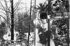 Putney, Vermont by Lee Friedlander, 1972, Silbergelatineabzug, 1975, sold Nov 2007