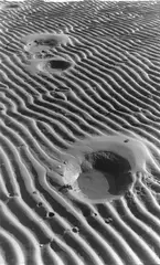Wattenmeer by Alfred Ehrhardt, 1934, Vintage. Bromsilbergelatineabzug, sold May 2008