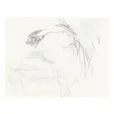 Untitled Line Drawing by Christine Hiebert, Charcoal on paper, sold Jan 2025