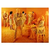 The Cocktail Party by Sandy Skoglund, C-print, sold Jan 2025