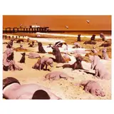 Dogs on the Beach by Sandy Skoglund, Photolithograph, sold Jan 2025