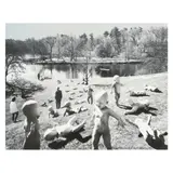 Babies at Paradise Pond by Sandy Skoglund, Photolithograph, sold Jan 2025