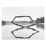 Ismo's Stick, Fosters Pond by Arno Rafael Minkkinen, Archival pigment print, sold Jan 2025