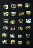 Paesaggi TV by Mario Schifano, 1970, screenprint, sold Jun 2019