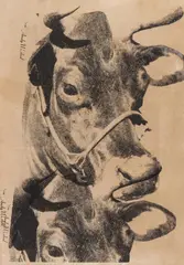 Wallpaper 'Cow'(Probedruck), wohl 1976/1978 by Andy Warhol, screenprint, sold Jun 2019