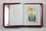 Portfolio Art Edition for Taschen (mit der signierten Druckgraphik 'Waterfall') by Jeff Koons, 2008, pencil, sold Dec 2018