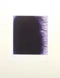 Lila Wald by Arnulf Rainer, 2001, drypoint, sold Dec 2017