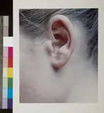 Ohne Titel (Ohr) by Carla van de Puttelaar, 2002, chromogenic print, sold Dec 2015
