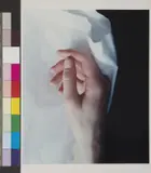 Ohne Titel (Hand) by Carla van de Puttelaar, 2000, chromogenic print, sold Dec 2015